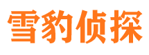 达坂城市婚外情调查